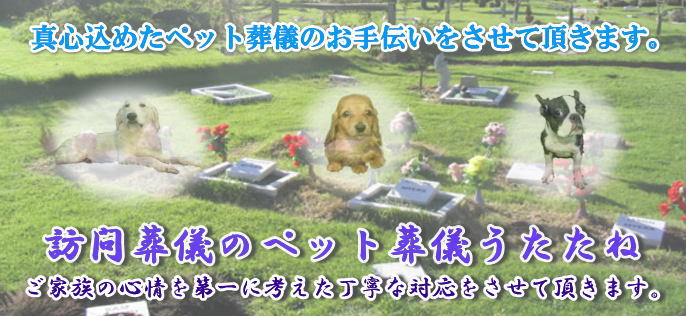 ペットのお葬式　ペット霊園
